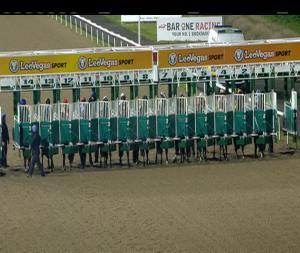 Video preview image for Dundalk 21:00 - Dundalk Stadium - Light Up Your Night Handicap (Div 2) 