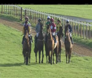 Video preview image for Fairyhouse 12:05 - Irish Stallion Farms European Breeders Fund Beginners Chase