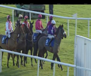 Video preview image for Fairyhouse 12:35 - Happy Christmas From All At Fairyhouse Beginners Chase