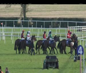 Video preview image for Fairyhouse 13:10 - Racing On New Years Day 3-y-o Maiden Hurdle