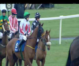 Video preview image for Fairyhouse 14:55 - Buy Your 2018 Fairyhouse Membership On Course Today Handicap Hurdle