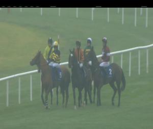 Video preview image for Fairyhouse 12:30 - Bar One Racing Juvenile Hurdle (Grade 3)