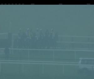 Video preview image for Fairyhouse 12:50 - Irish Stallion Farms European Breeders Fund Mares Handicap Chase