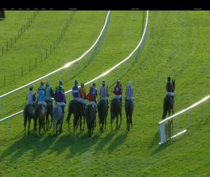 Video preview image for Leopardstown 12:45 - Thorntons Recycling Maiden Hurdle 