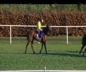 Video preview image for Leopardstown 13:20 - Willis Towers Watson Irish European Breeders Fund Mares Hurdle (Grade 3)