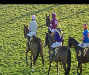 Video preview image for Leopardstown 14:30 - Ryanair Hurdle (December) (Grade 1)
