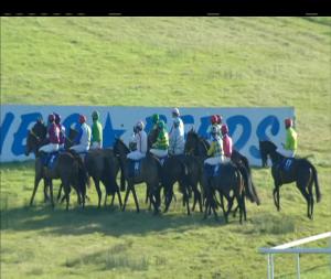 Video preview image for Limerick 12:25 - Goggin Buckley Maiden Hurdle 