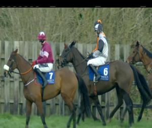 Video preview image for Limerick 13:00 - Limerick Racecourse Vets Mares Beginners Chase 