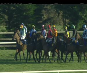 Video preview image for Limerick 14:00 - Roches Feeds Handicap Hurdle 