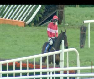 Video preview image for Limerick 14:10 - Guinness Novice Hurdle (Dorans Pride) (Grade 2)