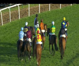Video preview image for Limerick 14:15 - Annual Membership Only €120 At Limerick Racecourse Rated Novice Hurdle
