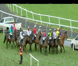 Video preview image for Limerick 14:45 - Ryans Cleaning Event Specialists Handicap Hurdle 