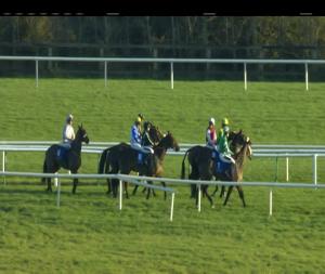 Video preview image for Limerick 14:50 - Britain V Ireland (Q.R.) Challenge Handicap Hurdle