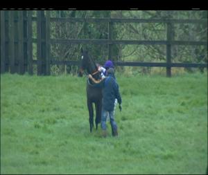 Video preview image for Limerick 15:20 - Mr. Binman Handicap Chase