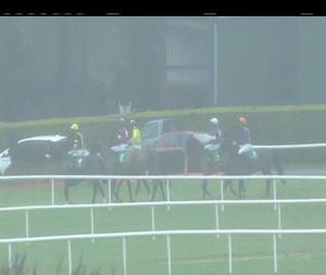 Video preview image for Navan 13:55 - John Lynch Carpets Maiden Hurdle