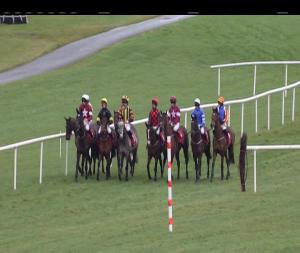 Video preview image for Punchestown 14:10 - Festival Hospitality On Sale 3-y-o Maiden Hurdle 