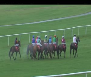 Video preview image for Punchestown 15:40 - Old House, Kill (Pro/Am) I.N.H. Flat