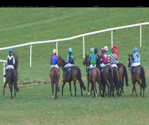 Video preview image for Thurles 15:45 - Ryan Tarmacadam (Pro/Am) I.N.H. Flat