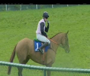 Video preview image for Tramore 14:00 - Waterford & Tramore Supporters Club Handicap Hurdle