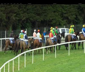 Video preview image for Clonmel 13:45 - Adare Manor Opportunity Handicap Hurdle 
