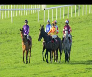 Video preview image for Cork 13:10 - Kerry Group Stayers Novice Hurdle (Grade 3)