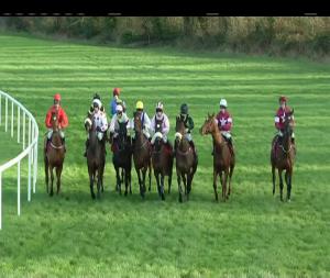 Video preview image for Cork 14:15 - Kerry Group Irish European Breeders Fund Mares Novice Chase (Grade 3)