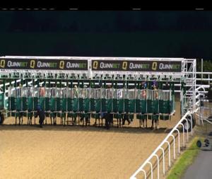 Video preview image for Dundalk 16:25 - irishinjuredjockeys.com Handicap