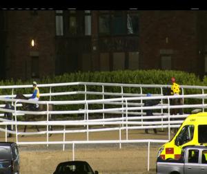 Video preview image for Dundalk 17:00 - www.dundalkstadium.com Handicap (Div 1)