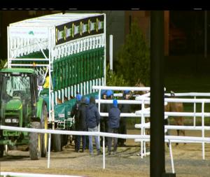 Video preview image for Dundalk 18:30 - Christmas Party Nights At Dundalk Stadium 