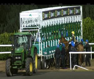 Video preview image for Dundalk 19:00 - Happy Christmas From All At Dundalk Stadium Maiden