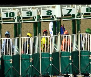 Video preview image for Dundalk 19:00 - Winter Series At Dundalk 2019 Handicap 