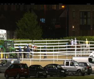 Video preview image for Dundalk 19:30 - www.dundalkstadium.com Handicap 