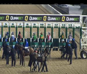 Video preview image for Dundalk 19:30 - Christmas Party Nights At Dundalk Stadium Maiden 