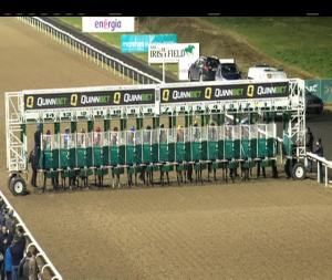 Video preview image for Dundalk 19:30 - Dundalk Stadium Racing Returns Friday 4th January 2019 Handicap (Div 1) 