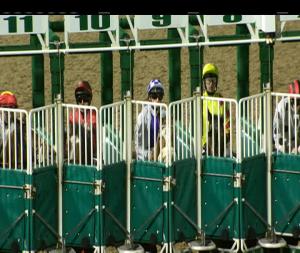 Video preview image for Dundalk 20:00 - Dundalk Stadium Racing Returns Friday 4th January 2019 Handicap (Div 2) 