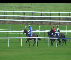 Video preview image for Fairyhouse 15:35 - Irish Racing Yearbook, Irish European Breeders Fund 4-y-o Fillies I.N.H. Flat 