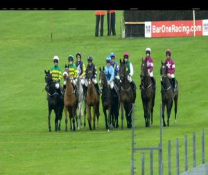 Video preview image for Fairyhouse 13:25 - Easyfix Handicap Chase (Grade B)