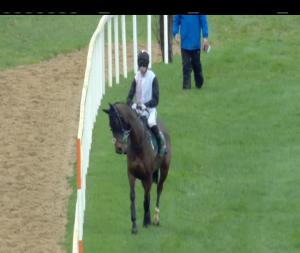 Video preview image for Leopardstown 12:40 - Paddy Power 'Live Stream All Irish Racing On Our App' Beginners Chase