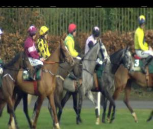 Video preview image for Leopardstown 13:20 - Ballymaloe Foods Beginners Chase