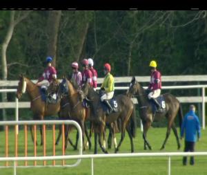 Video preview image for Leopardstown 13:55 - Neville Hotels Novice Chase (Grade 1)