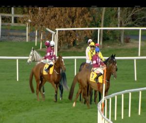 Video preview image for Leopardstown 14:30 - Ryanair Hurdle (Grade 1)