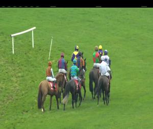 Video preview image for Limerick 12:00 - Connolly's Red Mills Irish European Breeders Fund Auction Maiden Hurdle