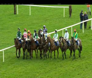Video preview image for Limerick 13:05 - Cube Veterans Handicap Chase