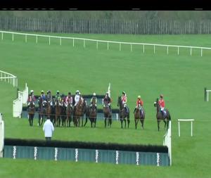 Video preview image for Limerick 13:30 - Woodlands House Hotel Adare Handicap Hurdle