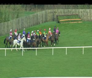 Video preview image for Limerick 14:40 - Tim Duggan Memorial Handicap Chase (Grade B)