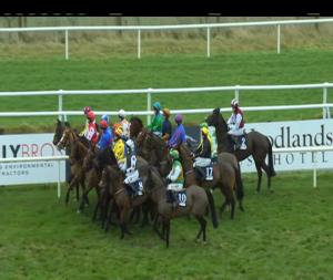 Video preview image for Limerick 14:45 - Ryans Cleaning Event Specialists Handicap Hurdle 
