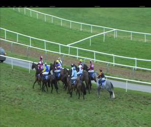 Video preview image for Limerick 15:50 - Irish Field I.N.H. Flat 