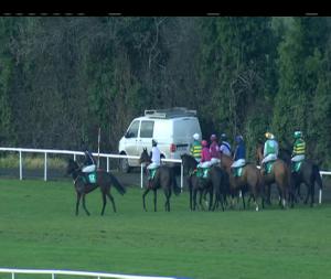 Video preview image for Navan 14:10 - Mervyn Gray Construction Beginners Chase 
