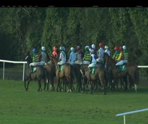 Video preview image for Navan 14:45 - Foxrock Handicap Chase (Grade B)