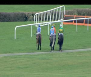 Video preview image for Punchestown 13:20 - Tote Pays Dividends Hurdle